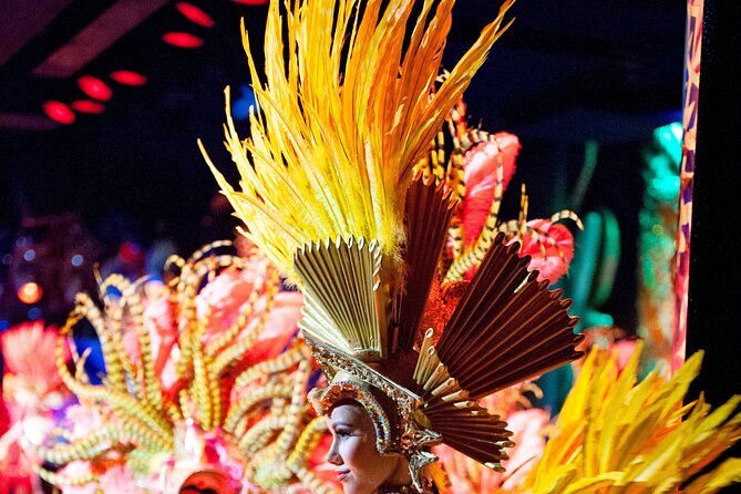 Paris Moulin Rouge 3-Courses Dinner with Wine and Show - The Féerie show from your seat