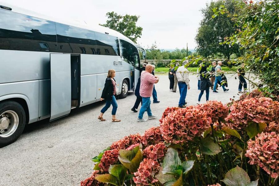 Paris: Normandy D-Day Sites Guided Day Trip with Lunch - What this Normandy day trip actually feels like