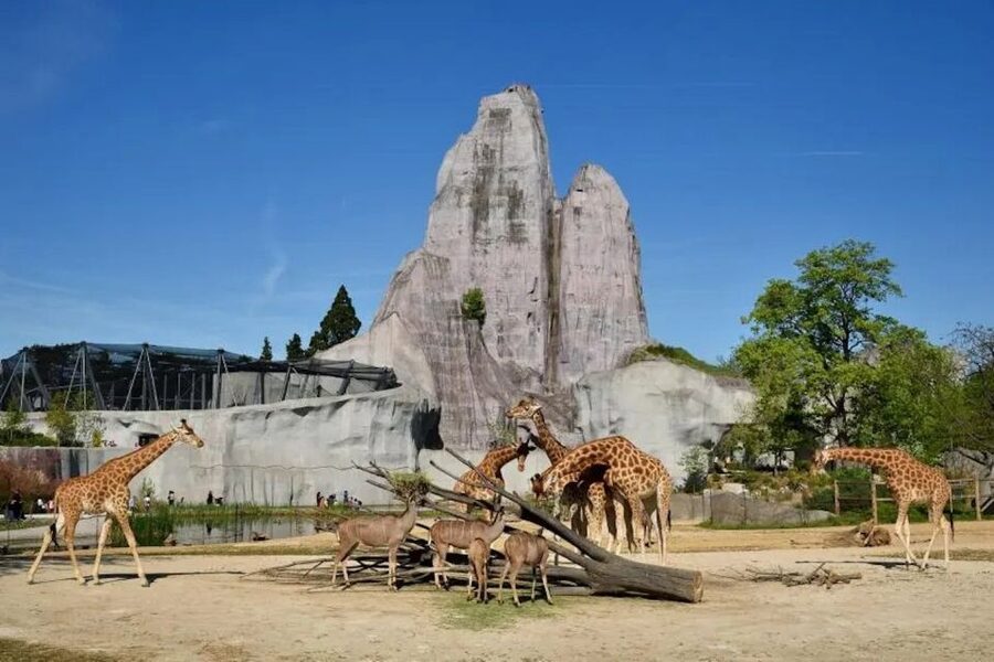 Paris: Paris Zoological Park Entrance Ticket - Start with Africa’s big animals