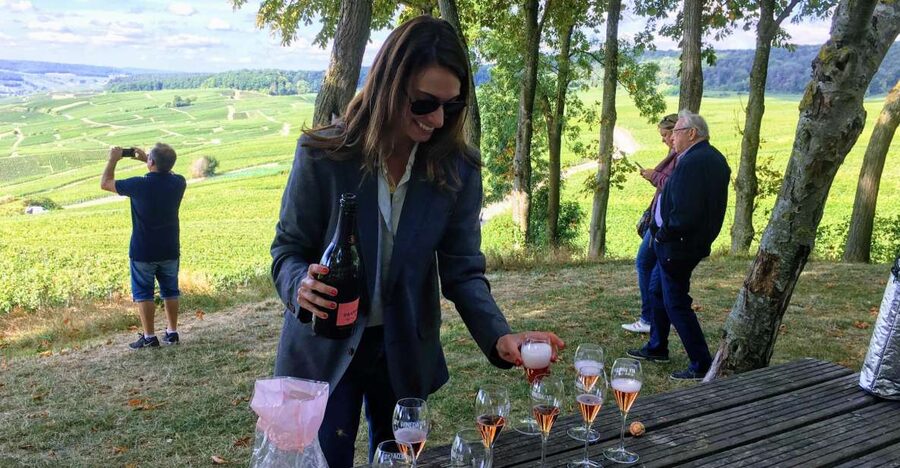 Paris: Private Day Trip to Champagne with 8 Tastings & Lunch - Key points to know before booking
