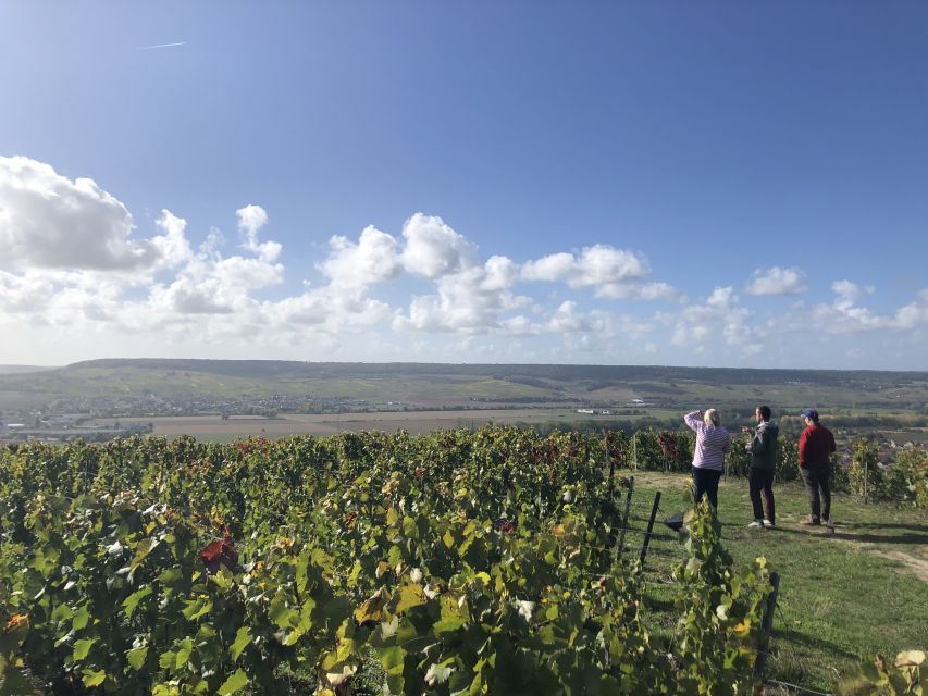 Paris: Private Day Trip to Champagne with 8 Tastings & Lunch - Who should book this Champagne experience