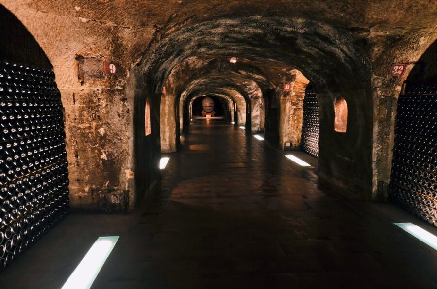 Paris: Private Day Trip to Champagne with 8 Tastings & Lunch - Visiting a smaller family-run winery