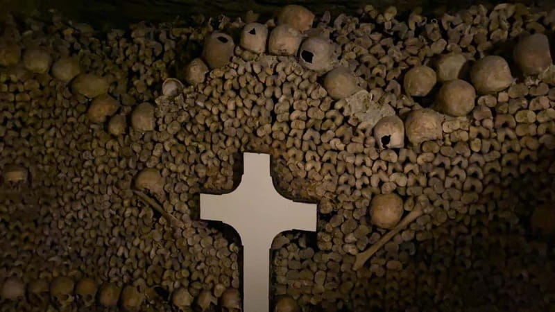 Paris: Small-Group Catacombs Tour with Skip-the-Line Entry - What $227 buys you