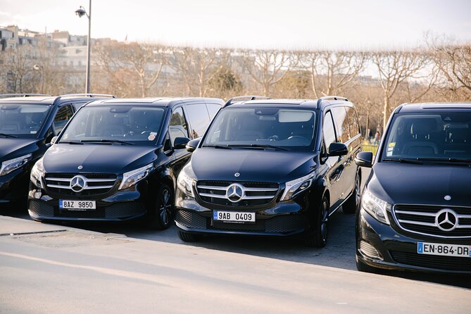 Personalized Transport service from Disneyland to Paris - What the vehicle experience is like