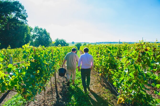 Picnic in the Vines - A Unique Loire Wine Experience - Behind the scenes in the winery and cellars