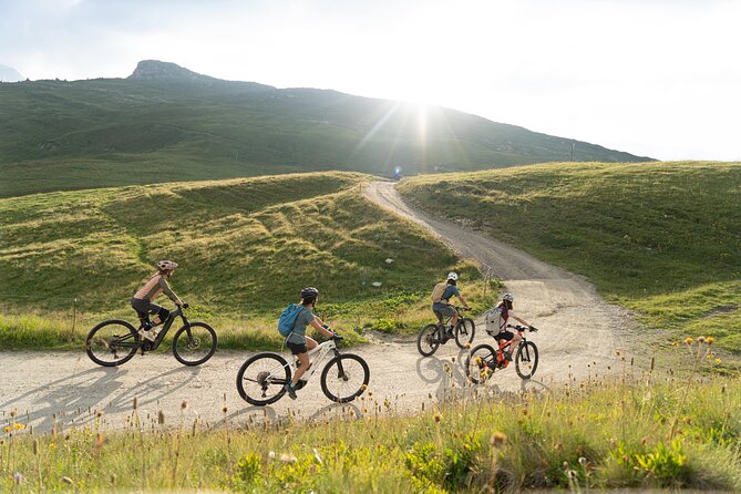 Point of view on the glaciers of Chamonix by electric mountain bike - Why an e-bike is a smart way to see Chamonix