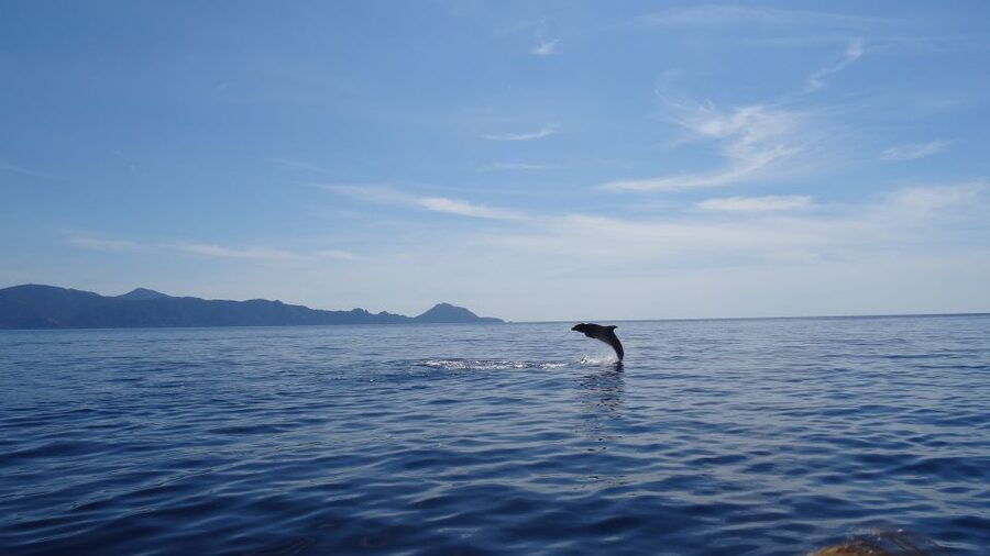Porto: Half-Day Cruise Scandola Reserve & Calanche de Piana - Leaving Porto-Ota for the Gulf of Porto