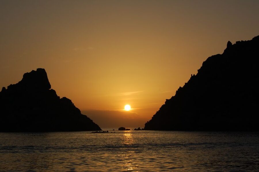 Porto: Half-Day Cruise Scandola Reserve & Calanche de Piana - Who will enjoy this cruise most?