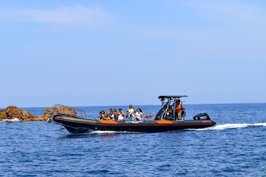 Porto: Scandola and Calanches of Piana Boat Trip - Who should book this boat trip?