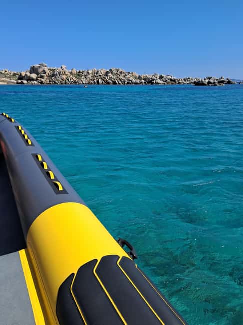 Porto-Vecchio : Discover Nature Through the Lavezzi Islands - First stop: seabirds at the Cerbicales Islands