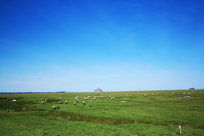 Private Day Tour of Mont Saint-Michel from Bayeux - Optional stops on the return to Bayeux