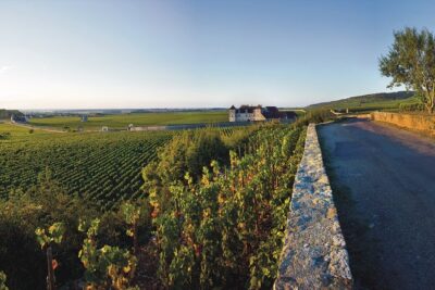 Private excursion to Côte de Beaune and Côte de Nuits (full day)