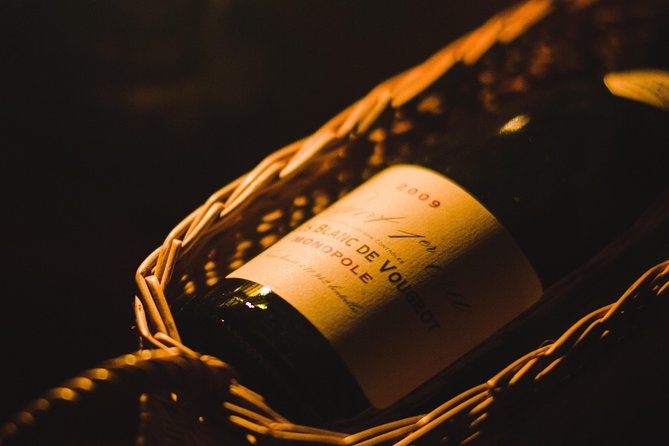 Private excursion to Côte de Beaune and Côte de Nuits (full day) - Walking the vines through the growing cycle