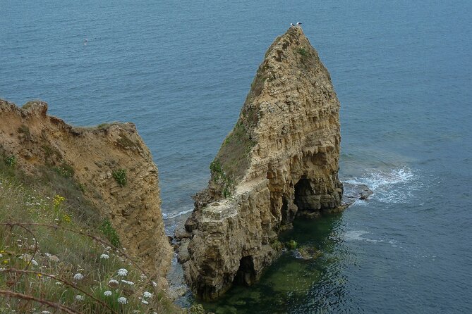 Private Full day landing beaches tour From Honfleur and Le Havre - Arromanches and the artificial harbor