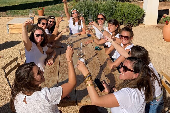 Private Full Day Wine Tour in Provence From Marseille cruise port - Cassis, Aix-en-Provence, or Lourmarin for lunch