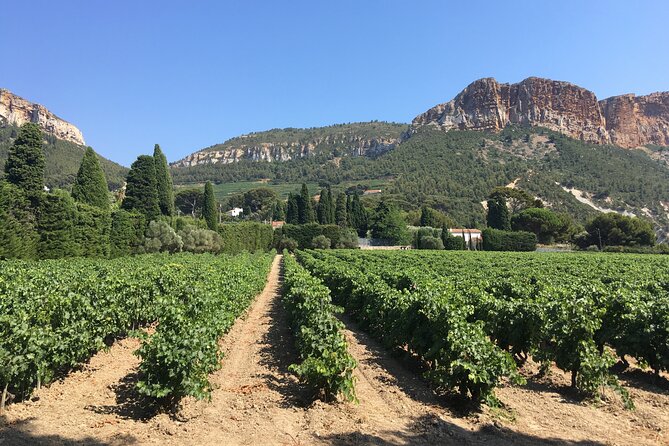 Private Full Day Wine Tour in Provence From Marseille cruise port - Why the private minivan matters on a cruise day