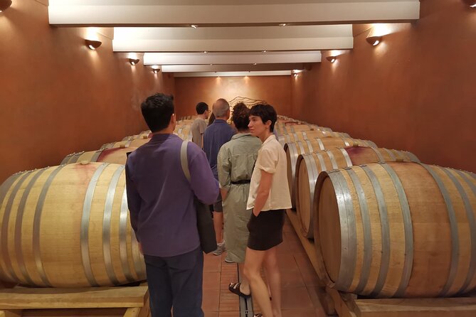 Private Full Day Wine Tour in Provence From Marseille cruise port - Timing, cancellations, and useful planning tips