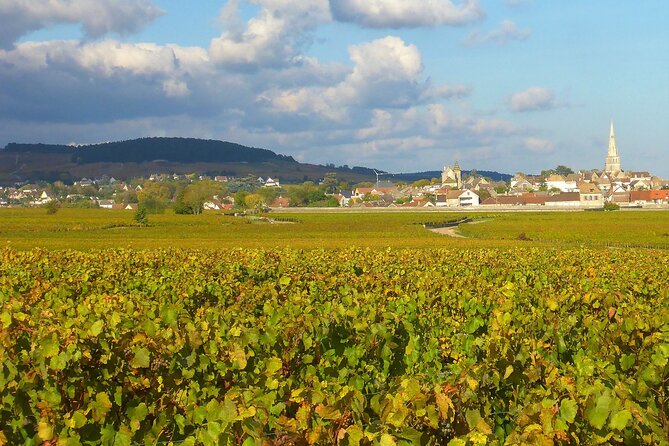 Private Guided Sidecar Tour in Burgundy from Meursault - Gilles, English explanations, and the private format