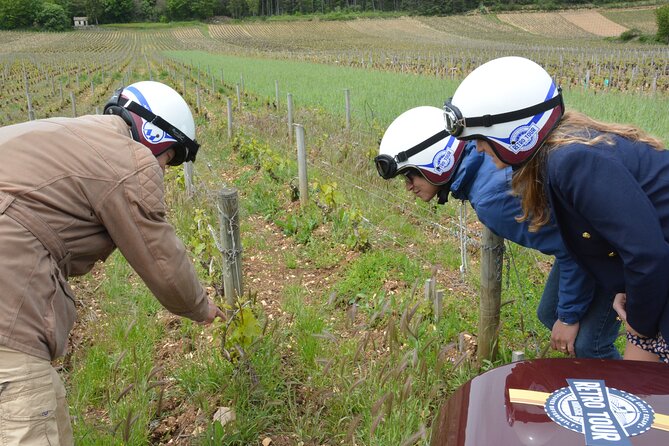 Private Guided Sidecar Tour in Burgundy from Meursault - What the ride feels like in practice