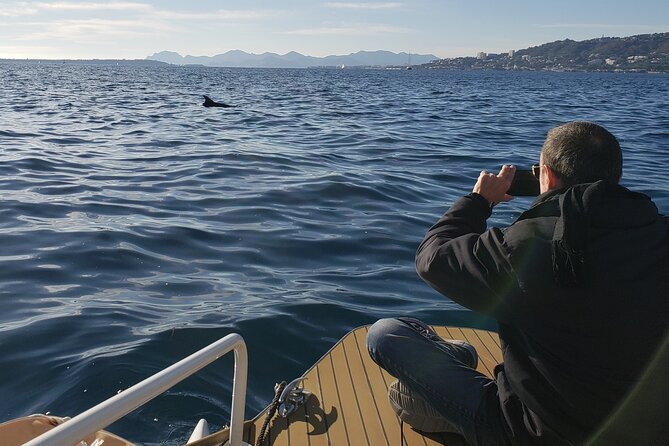 Private Solar Catamaran Cruise in Antibes Juan les Pins - Practical details before you book