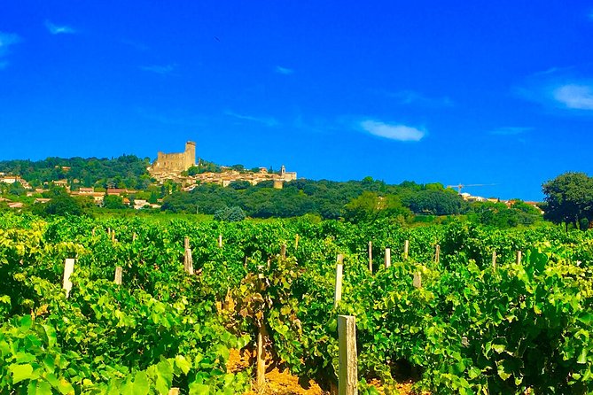 Provence Cru Wine Small-Group Half-Day Tour from Avignon - Why this small wine tour works well from Avignon
