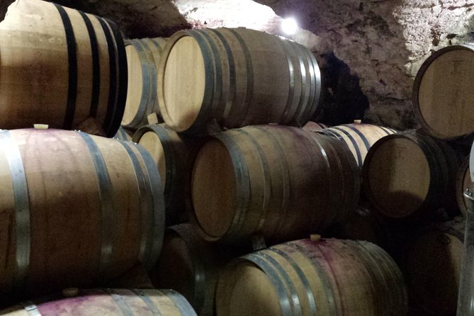 Provence Cru Wine Small-Group Half-Day Tour from Avignon - Who should book this tour?