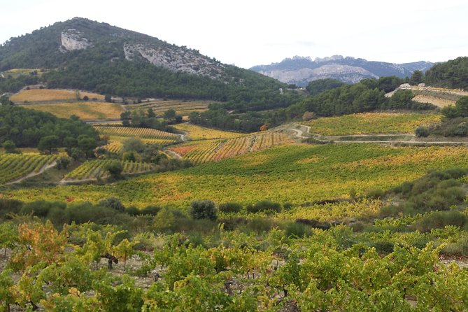 Provence Cru Wine Small-Group Half-Day Tour from Avignon - Gigondas, where wine and joy share an old name