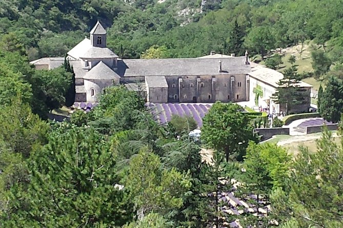 Provence Highlights Full-Day Tour from Avignon - A big Provence sampler from Avignon