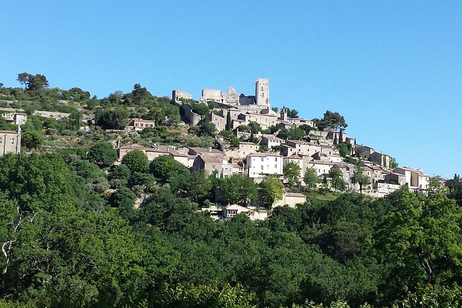 Provence Highlights Full-Day Tour from Avignon - Sénanque Abbey is a seasonal photo stop