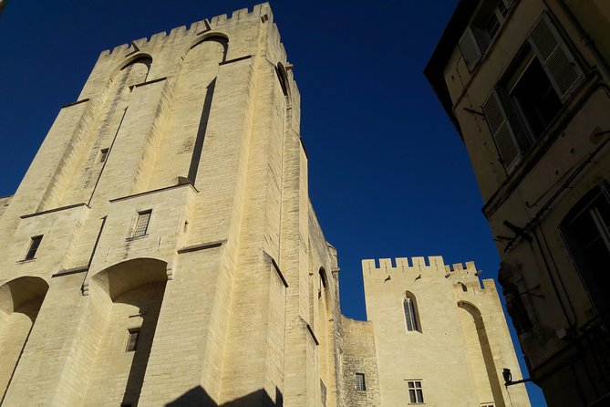 Provence in a Day Trip from Aix - Who should book this Provence day trip?