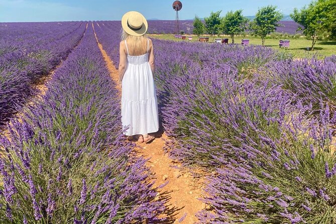 Provence Lavender Fields Tour from Aix-en-Provence - What this Aix-en-Provence lavender tour is really about