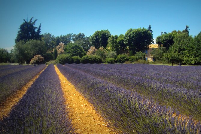 Provence Lavender Fields Tour from Aix-en-Provence - Moustiers-Sainte-Marie adds a storybook village