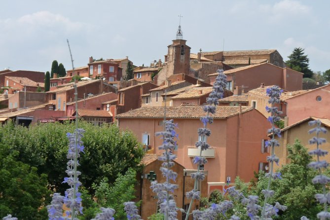 Provence Lavender Full Day Tour from Avignon - What this Avignon lavender tour is really like