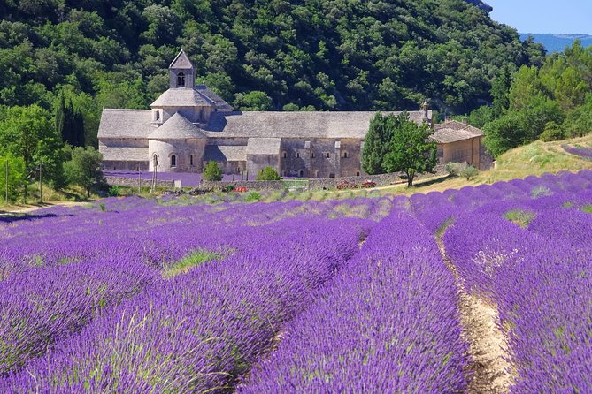 Provence Lavender Full Day Tour from Avignon - Roussillon and the red ochre village