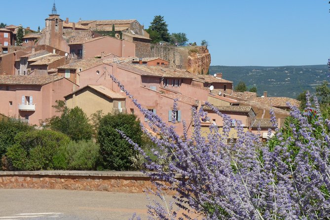 Provence Lavender Full Day Tour from Avignon - The van, guide style, and physical demands