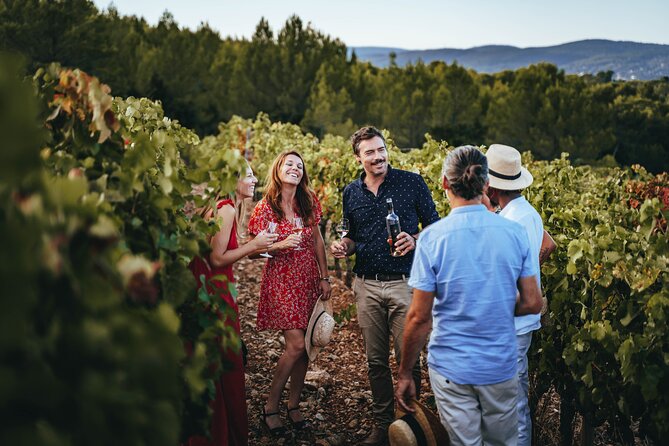 Provence Wine Tour - Small Group Tour from Cannes - Why this Provence wine day works from Cannes