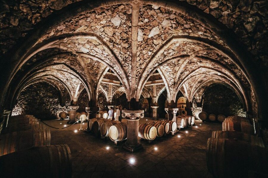 Provence Wine Tour - Small Group Tour from Cannes - Booking details worth knowing before you go