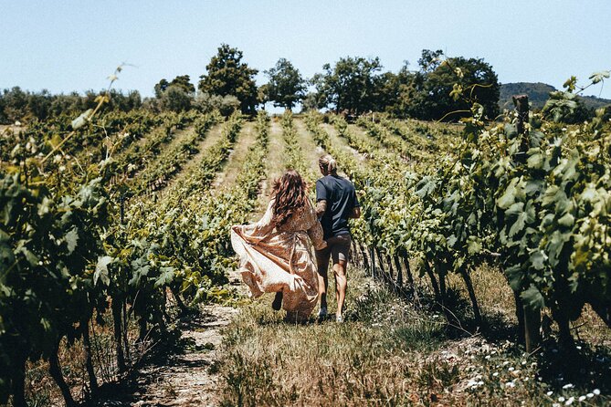 Provence Wine Tour - Small Group Tour from Cannes - Lunch in a medieval Provençal village