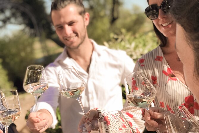 Provence Wine Tour - Small Group Tour from Cannes - The second vineyard: family ownership and a walk among the vines