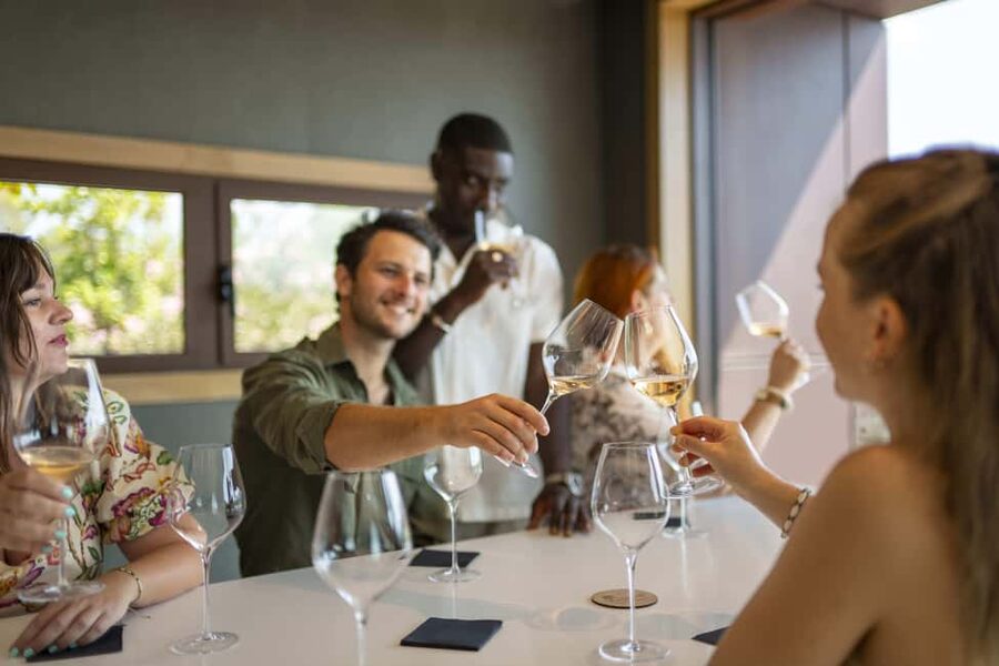 Provence Wine Tour - Small Group Tour from Cannes - The final estate: organic wines, gardens, and a memorable cellar