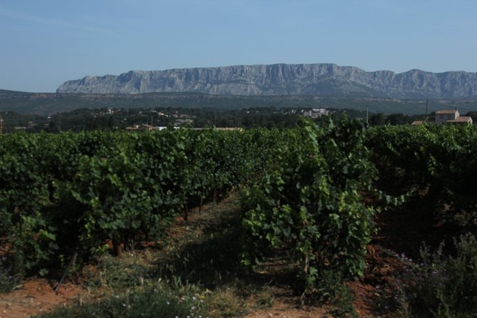 Provence Wineries and Luberon Villages Day Trip from Aix-en-Provence - The brief Aix-en-Provence pause