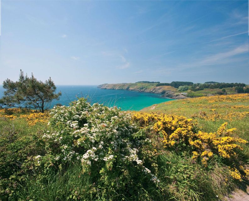Quiberon: Ferry tickets from/to Belle-Île-en-Mer, Le Palais - Key points at a glance