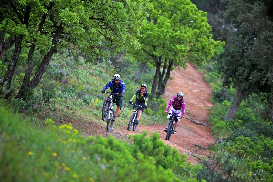 Ramatuelle: Tracks & Tasting Winery Tour by Mountain E-Bike - Starting near the Route des Plages
