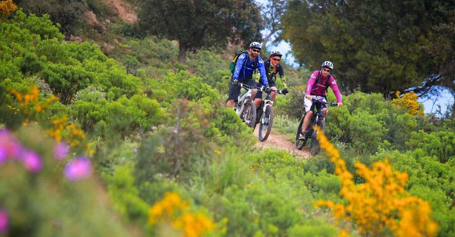 Ramatuelle: Tracks & Tasting Winery Tour by Mountain E-Bike - E-bike riding through Ramatuelle’s countryside