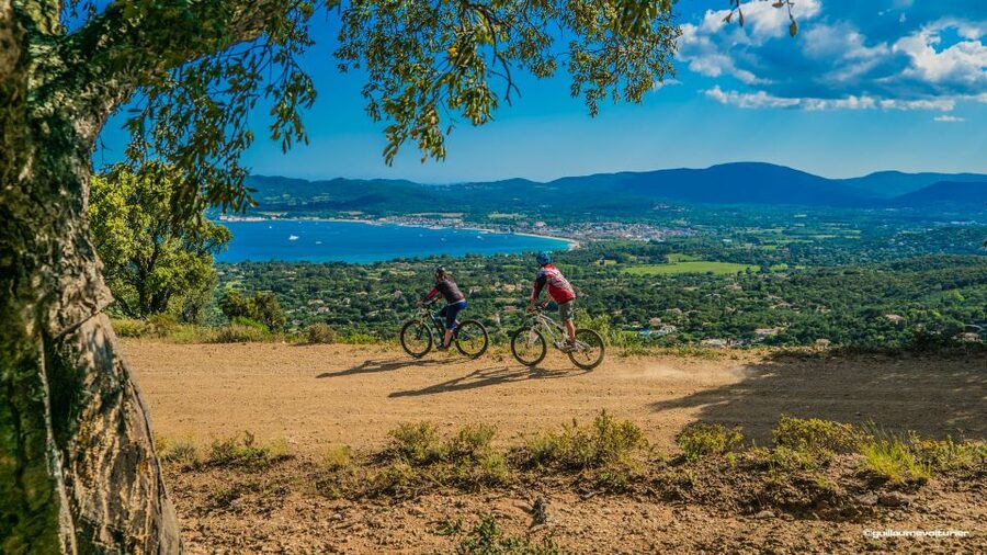 Ramatuelle: Tracks & Tasting Winery Tour by Mountain E-Bike - Visiting private wineries near Ramatuelle