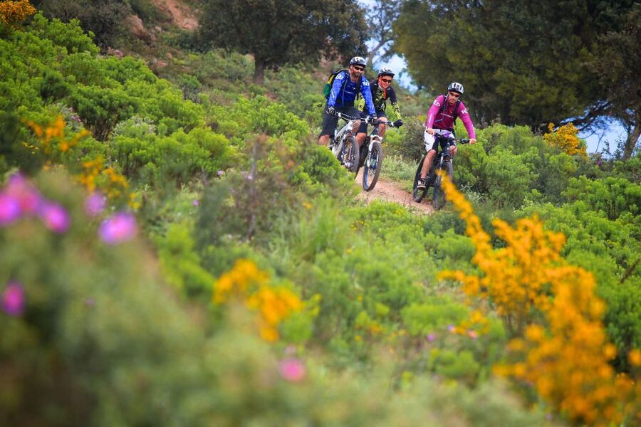 Ramatuelle: Tracks & Tasting Winery Tour by Mountain E-Bike - Should you book the Ramatuelle e-bike winery tour?