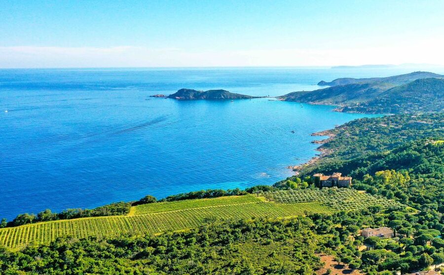 Ramatuelle: Tracks & Tasting Winery Tour by Mountain E-Bike - Scenic stops around St. Tropez