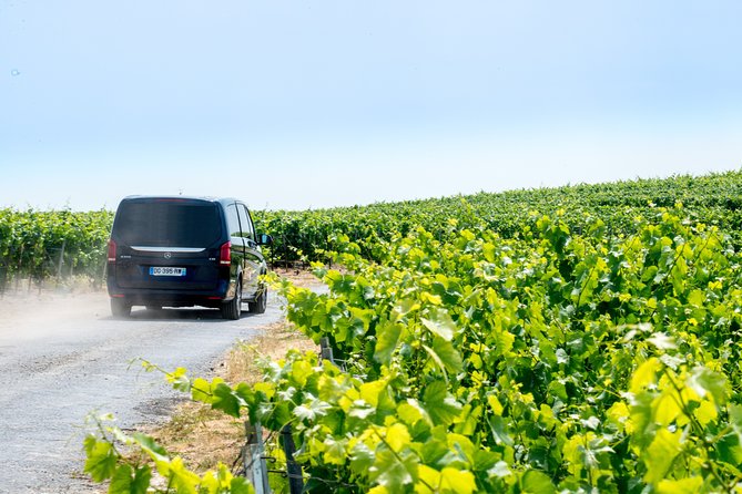 Reims afternoon tour Champagne and family growers - Is the $151 price good value?