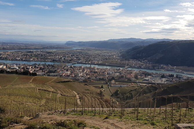 Rhône Valley Wine Tasting Private Day Tour from Lyon - First tasting: steep Côte-Rôtie and Condrieu slopes