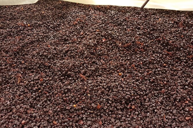 Rhône Valley Wine Tasting Private Day Tour from Lyon - Lunch near the Rhône, with local food at your expense